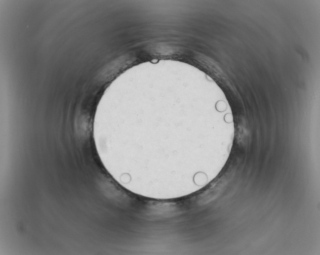 X0000111950476200909071323