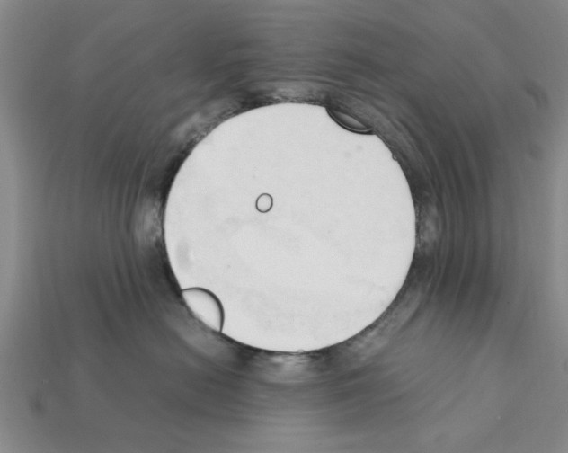 X0000111950478200909071323