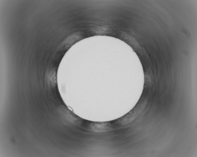 X0000111950479200909071323