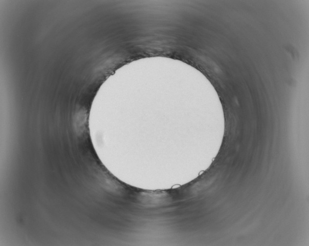 X0000111950480200909071323