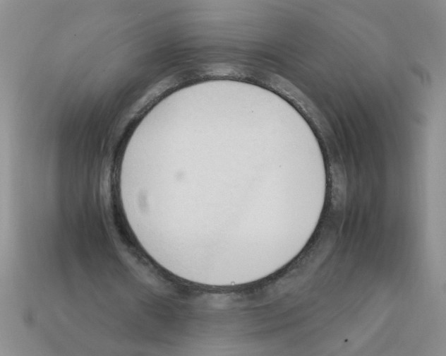 X0000111950482200909071323