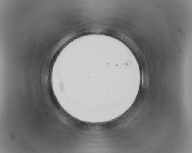 X0000111950483200909071323