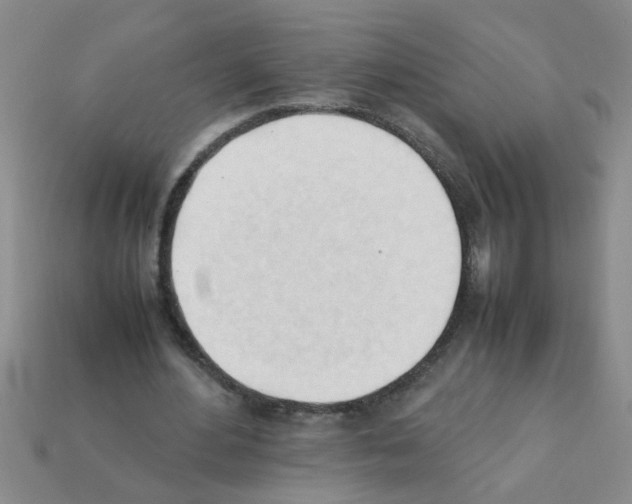 X0000111950484200909071323
