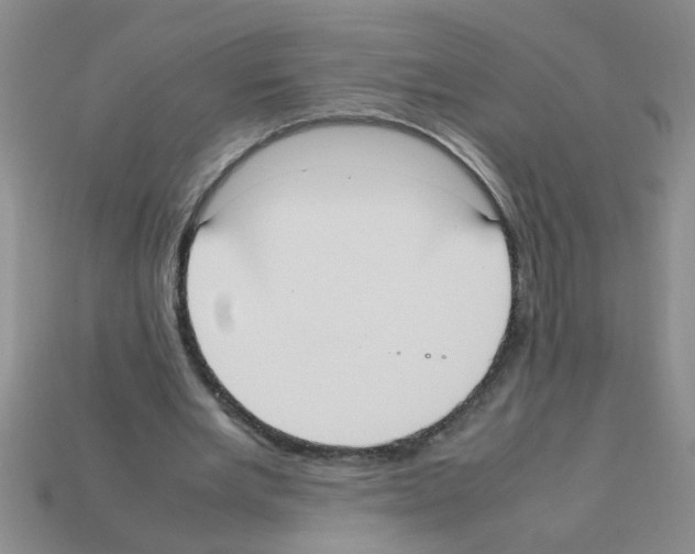 X0000111950485200909071323