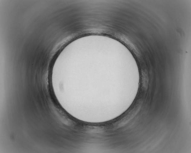 X0000111950486200909071323