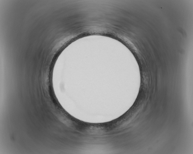 X0000111950487200909071323
