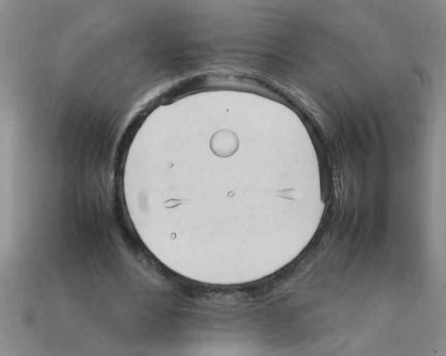 X0000111950488200909071323