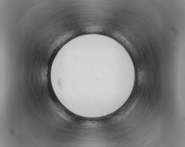 X0000111950490200909071323