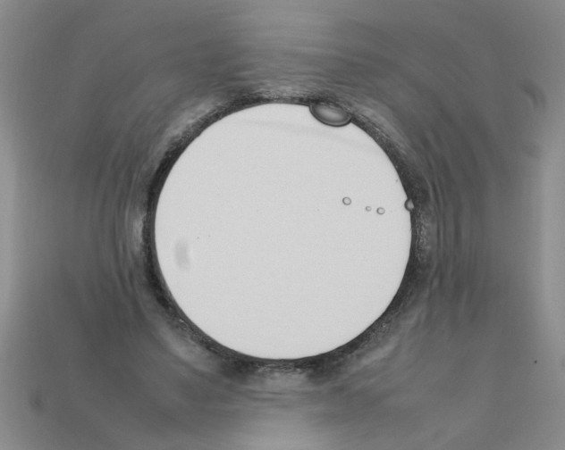 X0000111950491200909071323