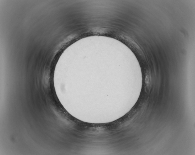 X0000111950492200909071323