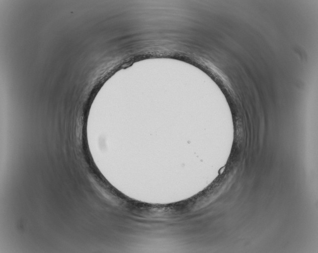 X0000111950493200909071323