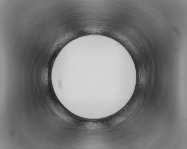 X0000111950494200909071323
