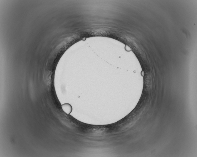 X0000111950495200909071323