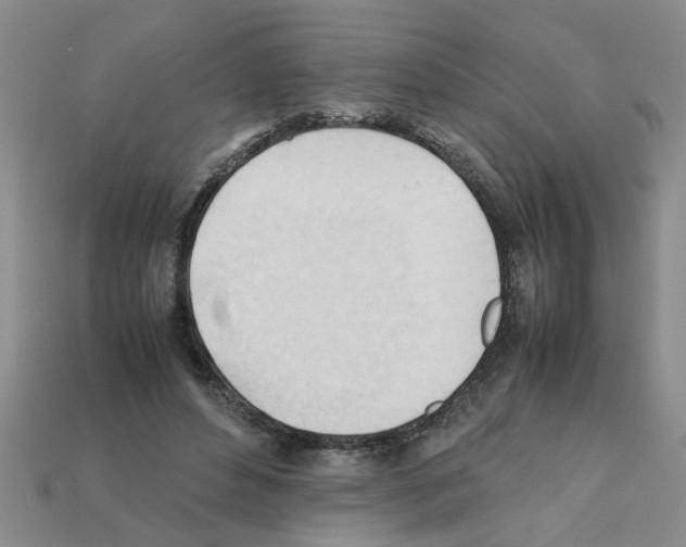 X0000111950496200909071322