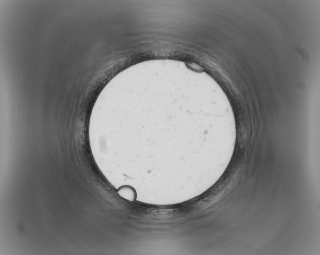 X0000111950497200909071322