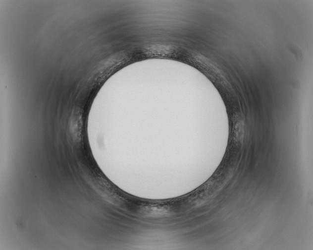 X0000111950498200909071322