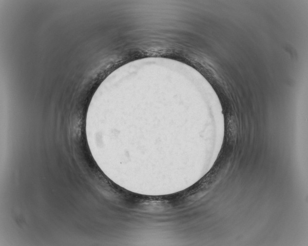 X0000111950499200909071322