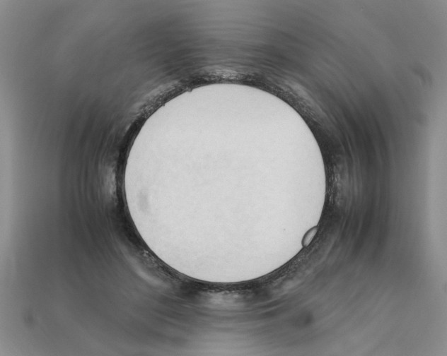 X0000111950500200909071322