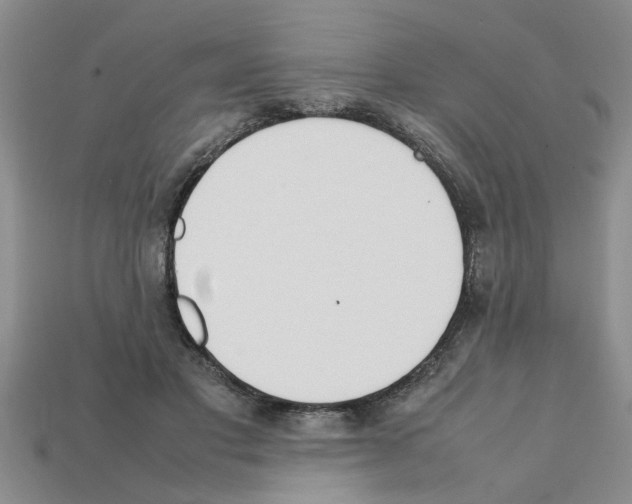 X0000111950501200909071322