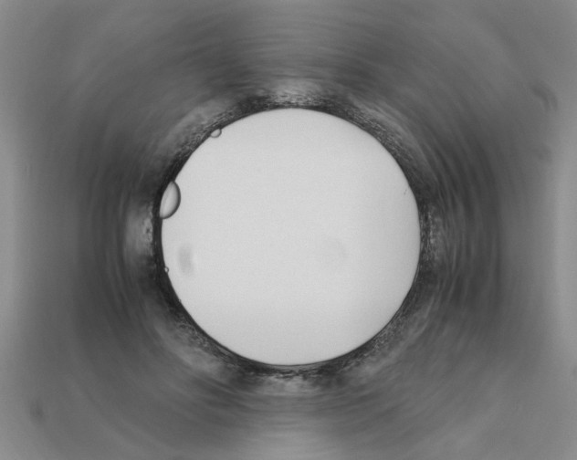 X0000111950502200909071322