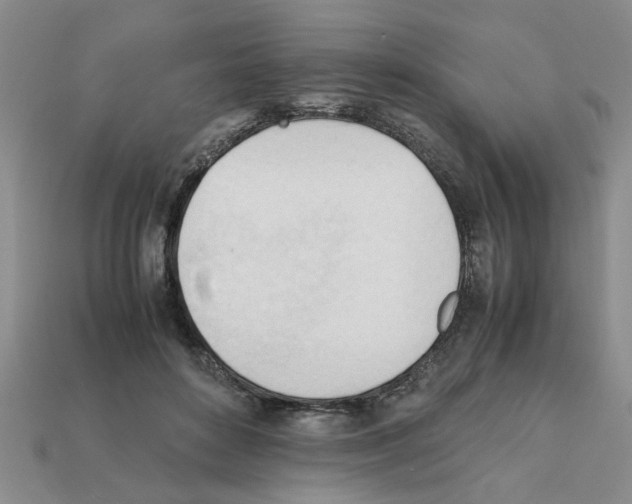 X0000111950504200909071322