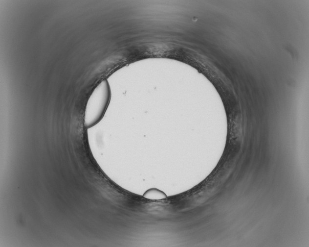 X0000111950505200909071322