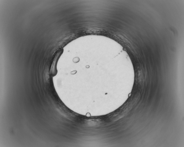 X0000111950508200909071322
