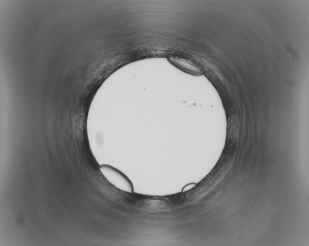 X0000111950509200909071322