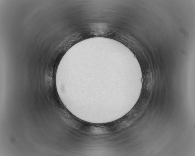 X0000111950510200909071322