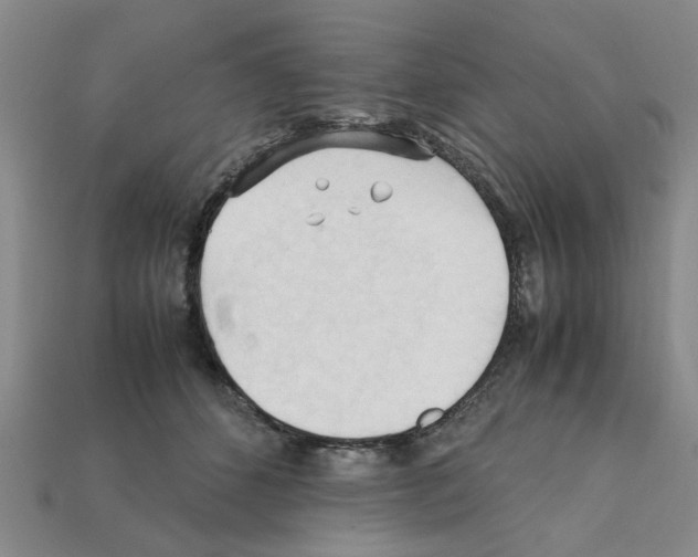 X0000111950512200909071322