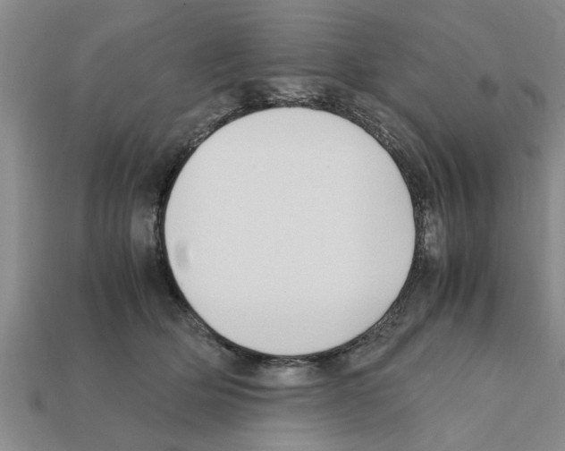 X0000111950514200909071322