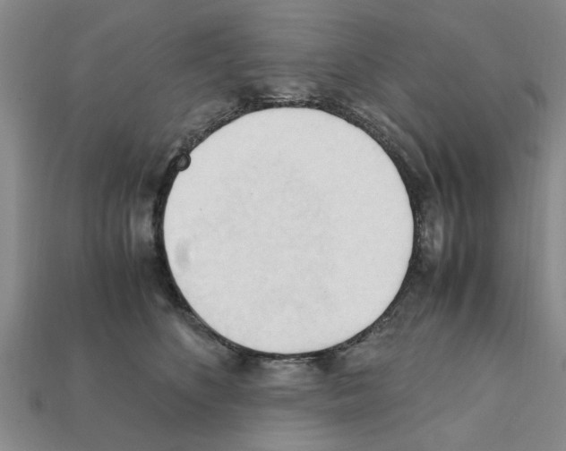 X0000111950516200909071322