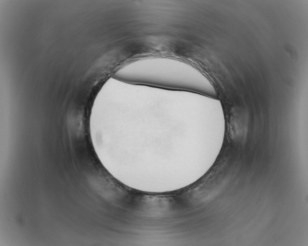 X0000111950520200909071322