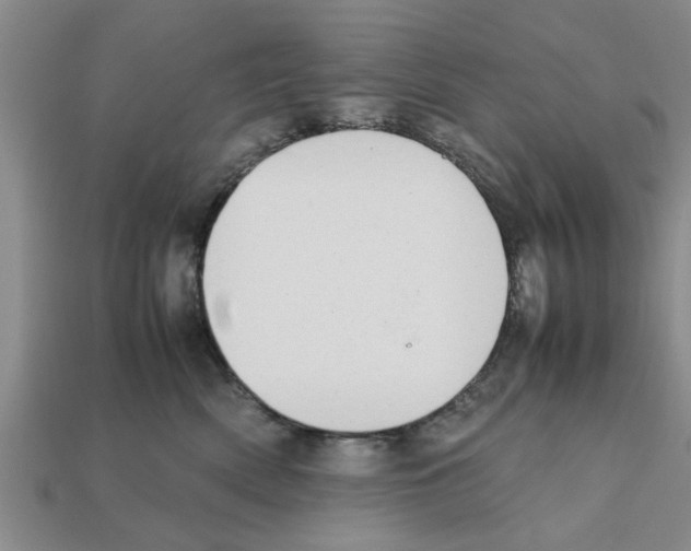 X0000111950522200909071322
