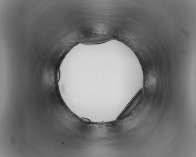 X0000111950524200909071322