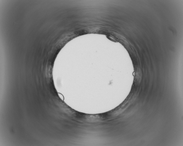 X0000111950525200909071322