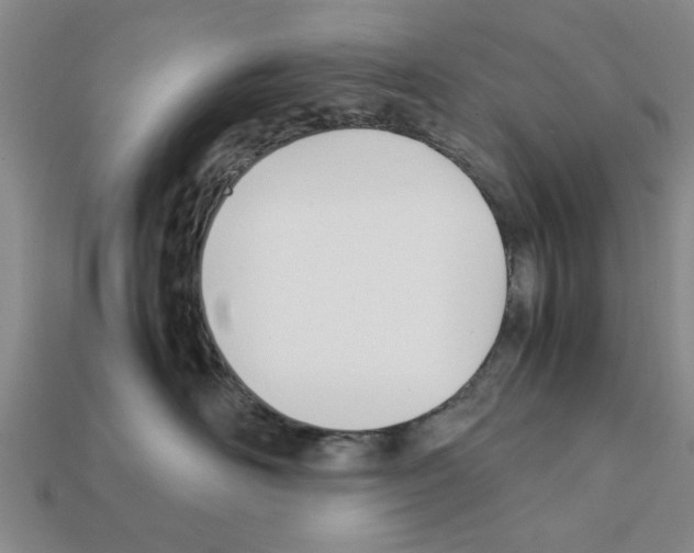 X0000111950526200909071322