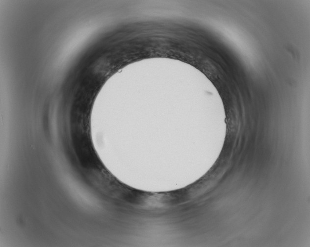 X0000111950527200909071322
