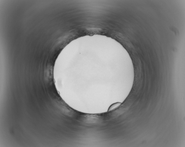 X0000111950528200909071322