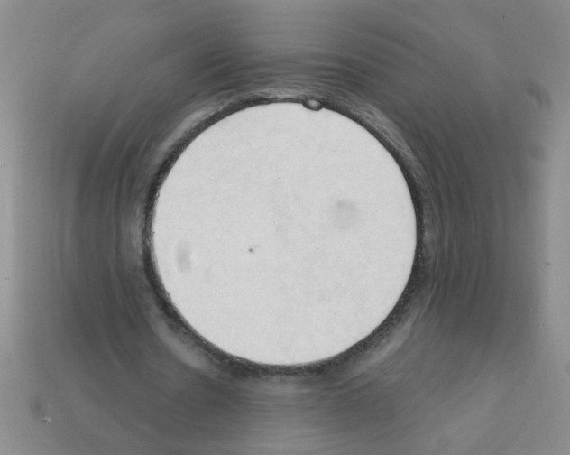 X0000111950530200909071321