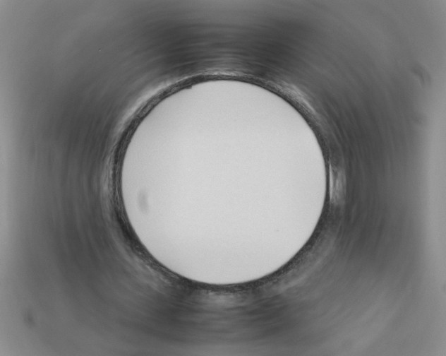 X0000111950531200909071321