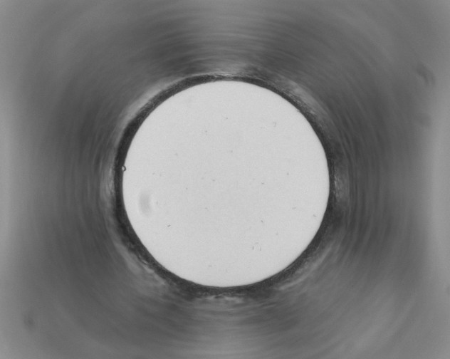 X0000111950532200909071322