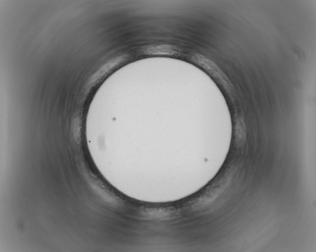 X0000111950533200909071322