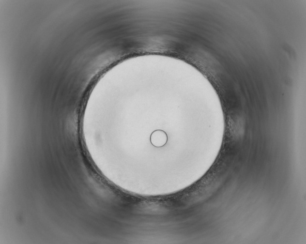 X0000111950534200909071322