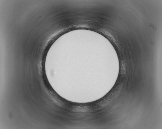 X0000111950535200909071322