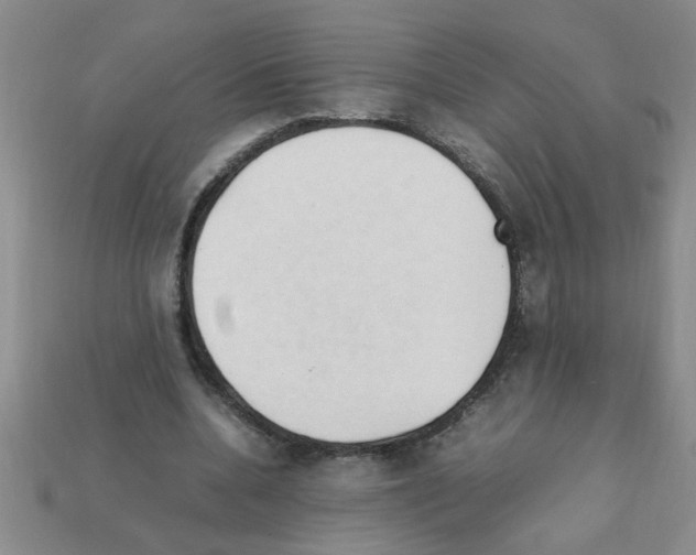 X0000111950536200909071322