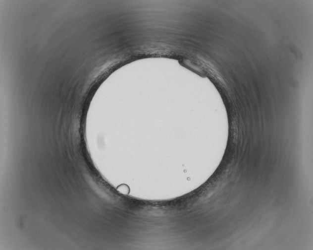 X0000111950538200909071322