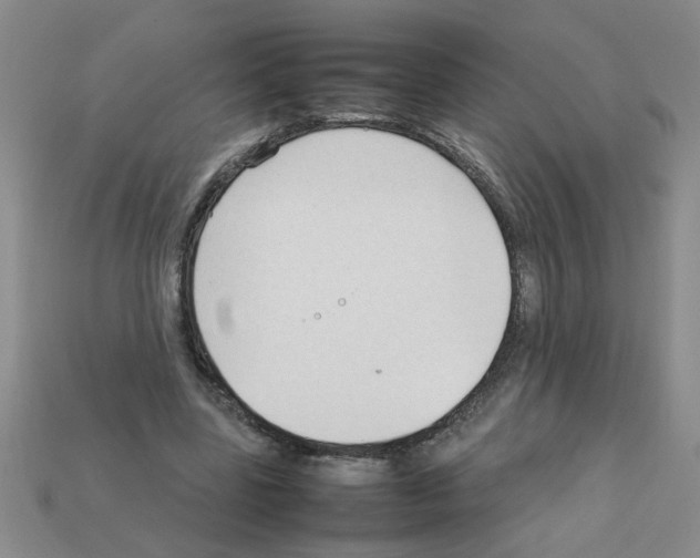 X0000111950539200909071322