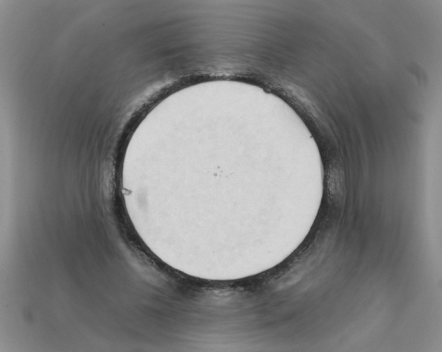 X0000111950540200909071322