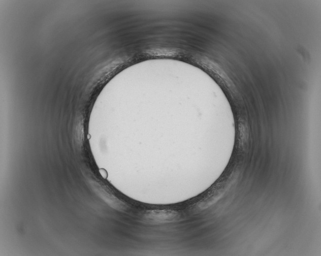 X0000111950541200909071322